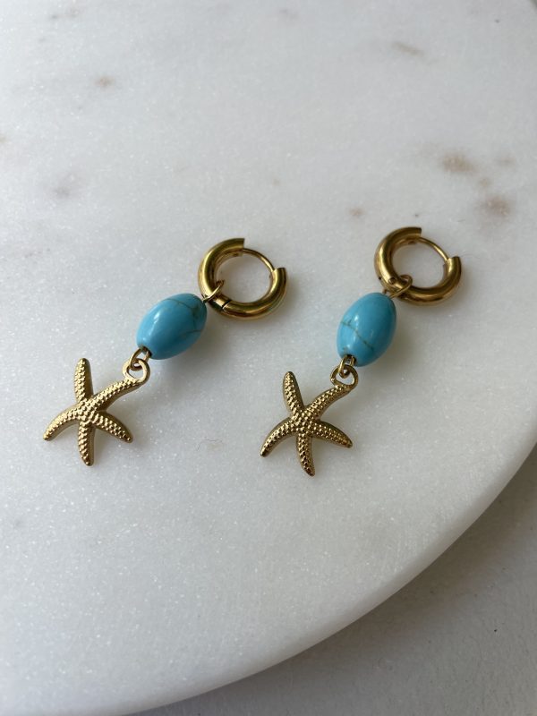 Turquoise Αστερίας