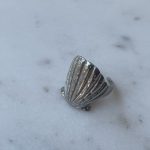 Shell Earrings
