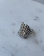 Shell Earrings