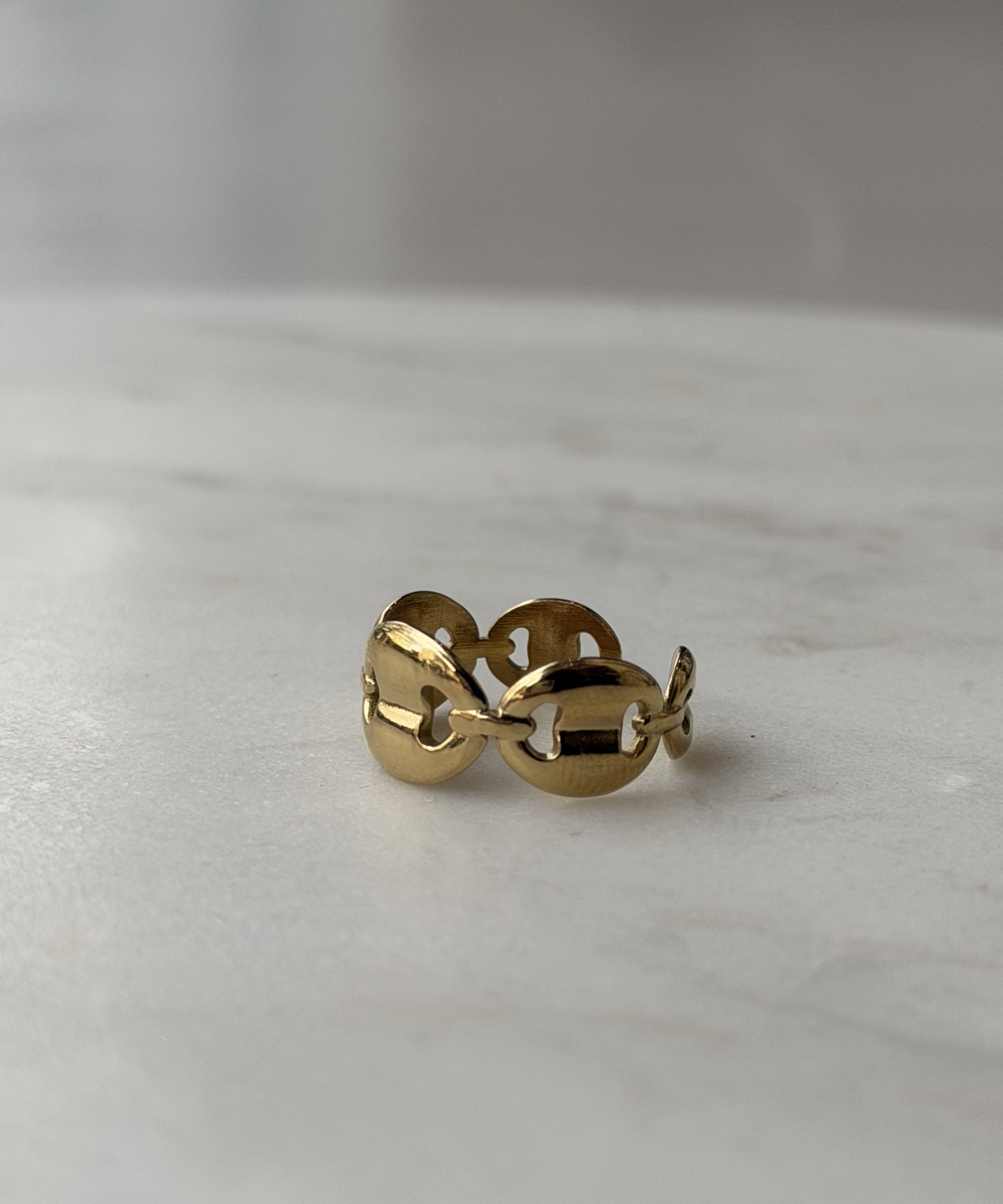 IMG_7038 Oval Link Ring - Image 1